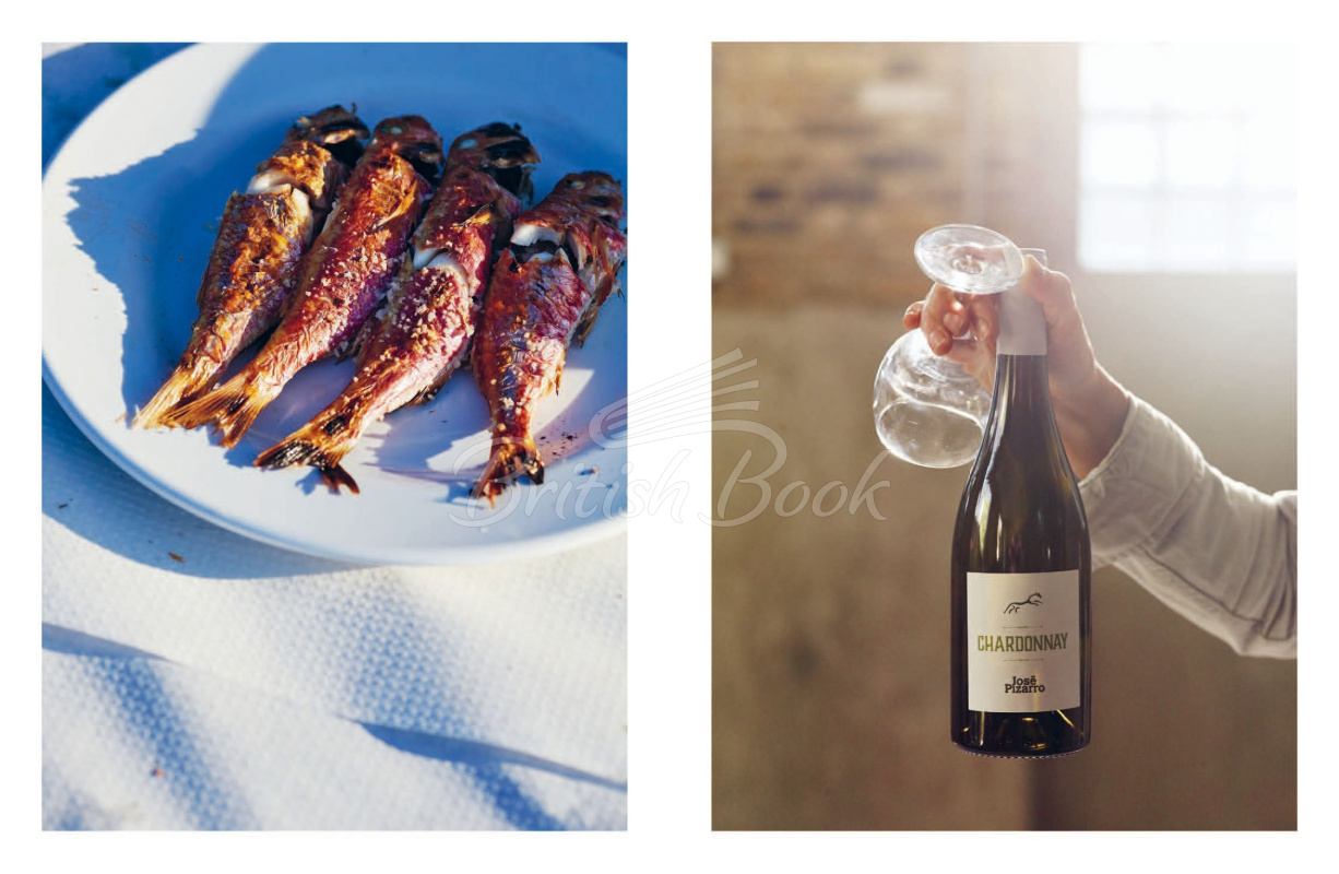 Книга Recipes from Andalusia изображение 7