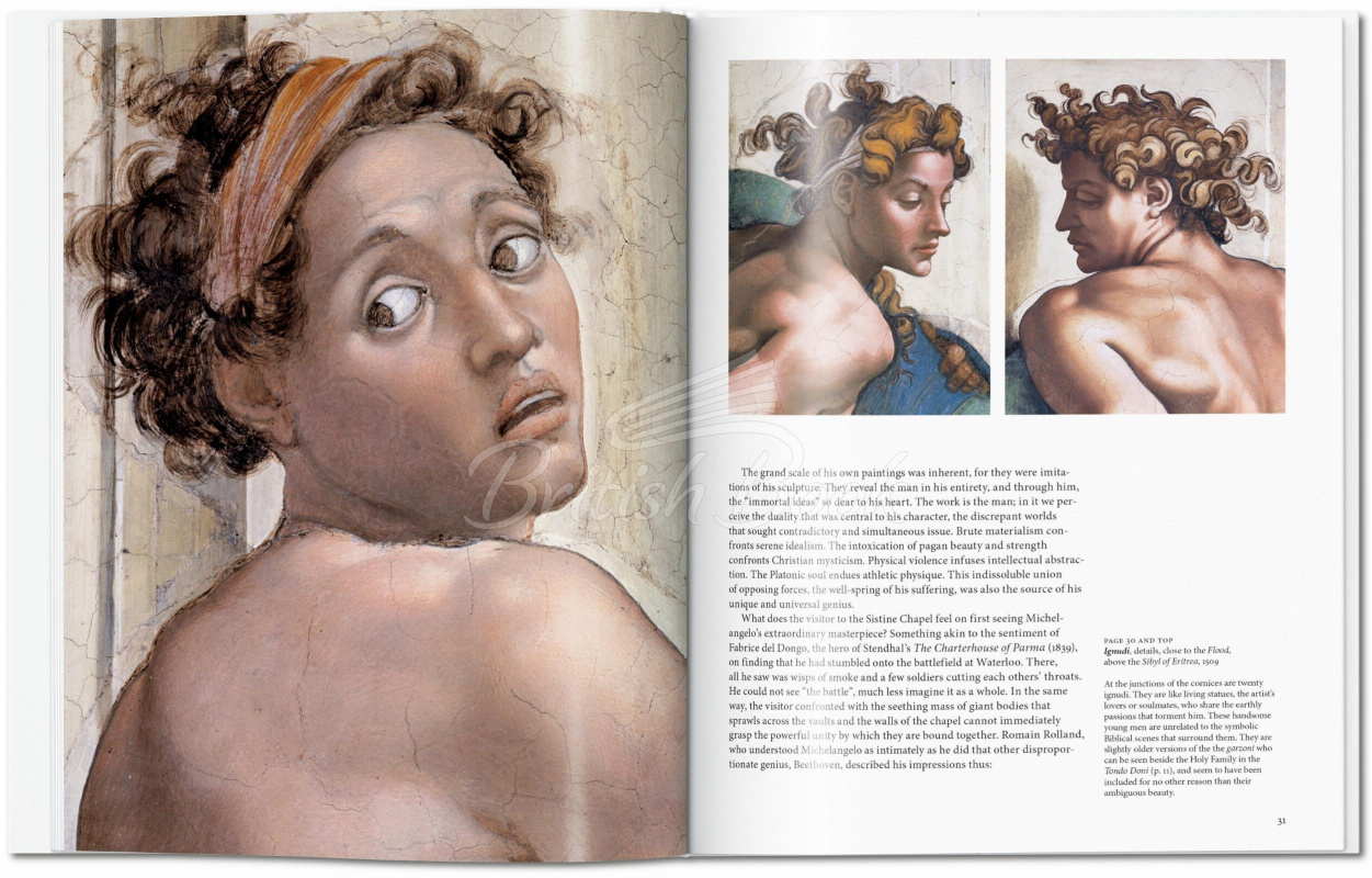 Книга Michelangelo зображення 4