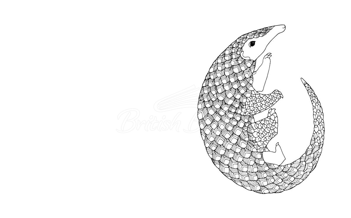 Книга Beautiful Animals Colouring Book зображення 3