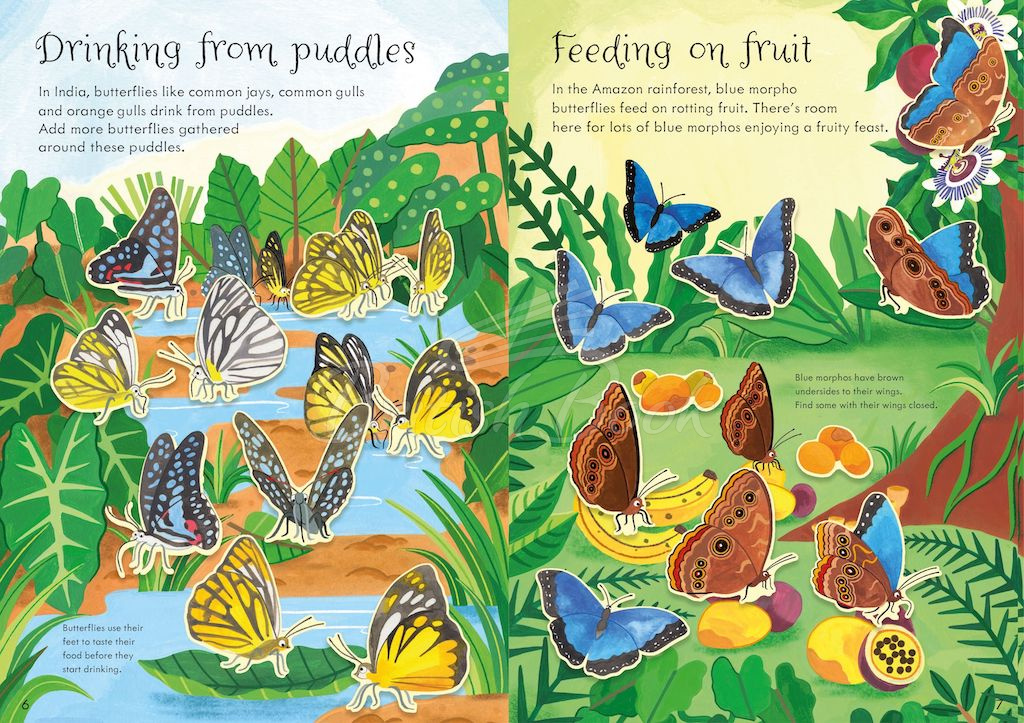 Книга Little First Stickers: Butterflies зображення 3