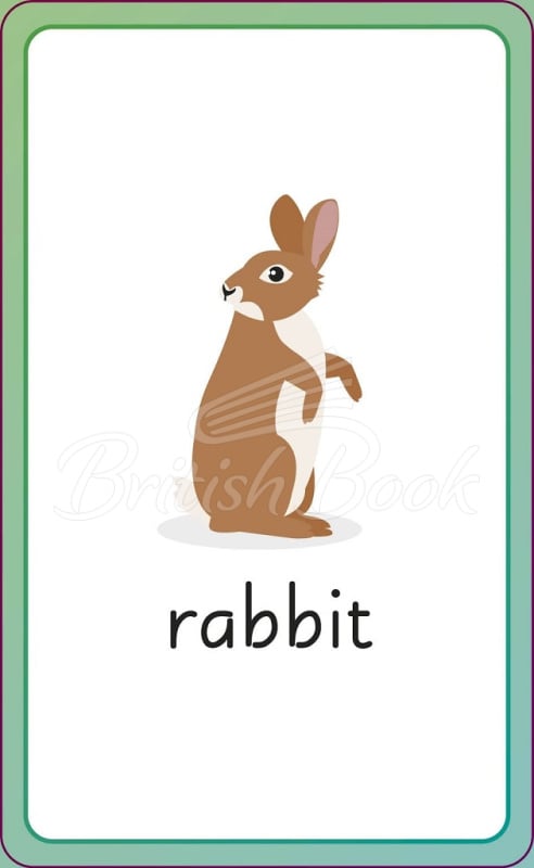 Карточки English for Everyone Junior: First Words Animals Flash Cards изображение 9