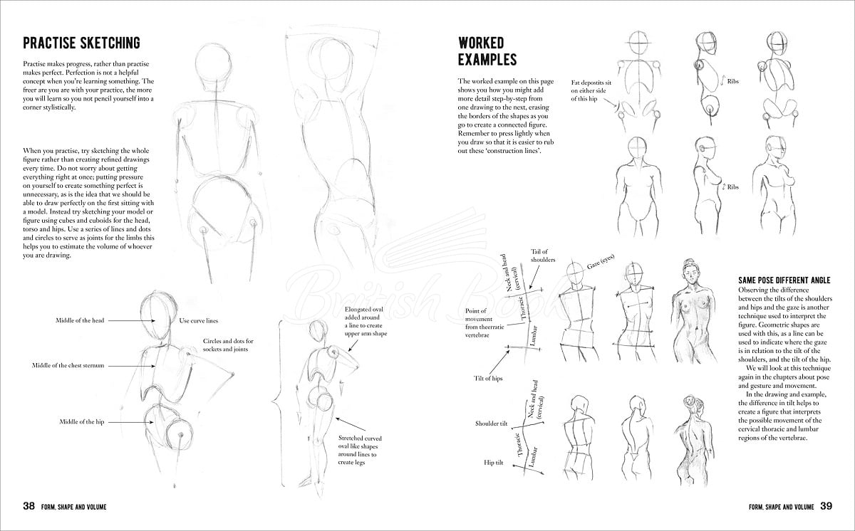 Книга Anatomy for the Artist: A Complete Guide to Drawing the Human Body изображение 4