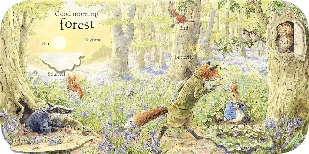 Книга Peter Rabbit: Peter's First 100 Words изображение 1