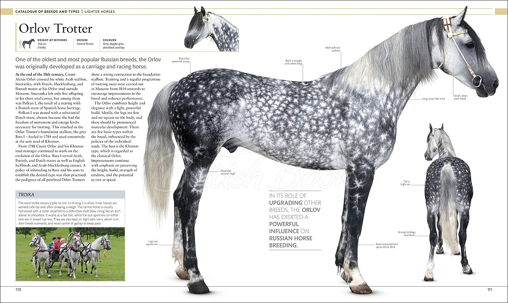 Книга The Horse Encyclopedia зображення 4