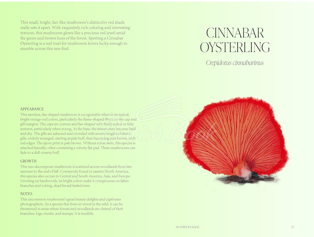 Книга Mushroom Magic зображення 1
