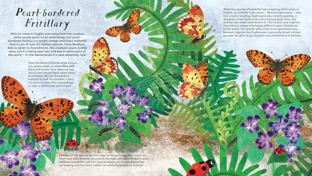 Книга National Trust: Butterfly Skies изображение 5