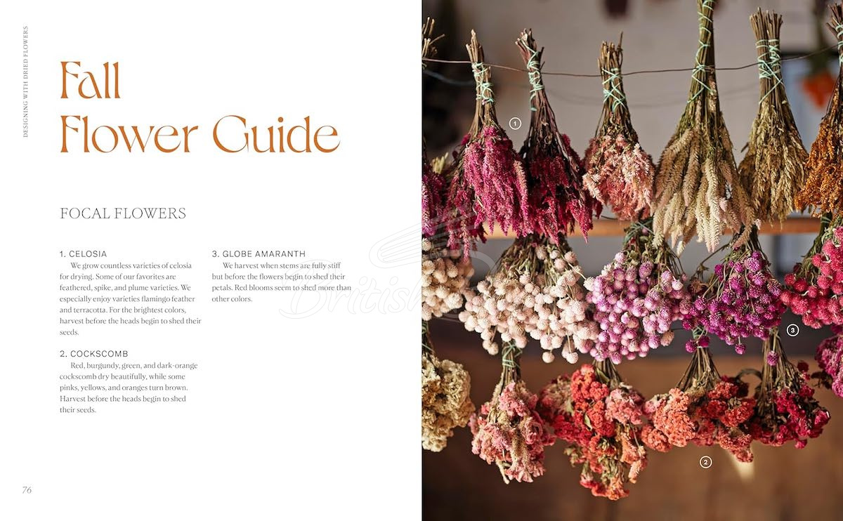 Книга Designing with Dried Flowers зображення 3