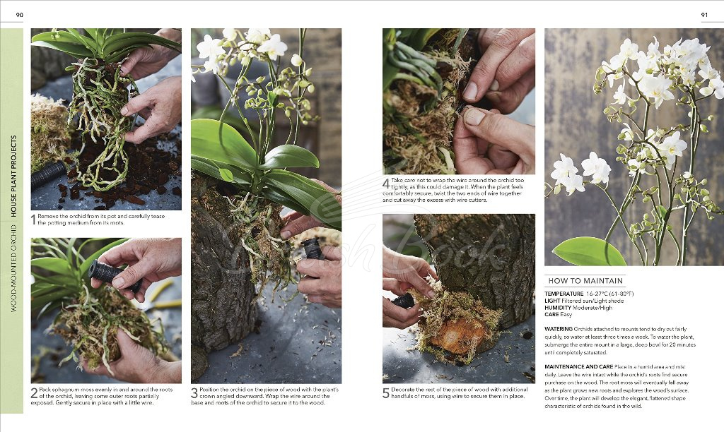 Книга RHS Practical House Plant Book изображение 6