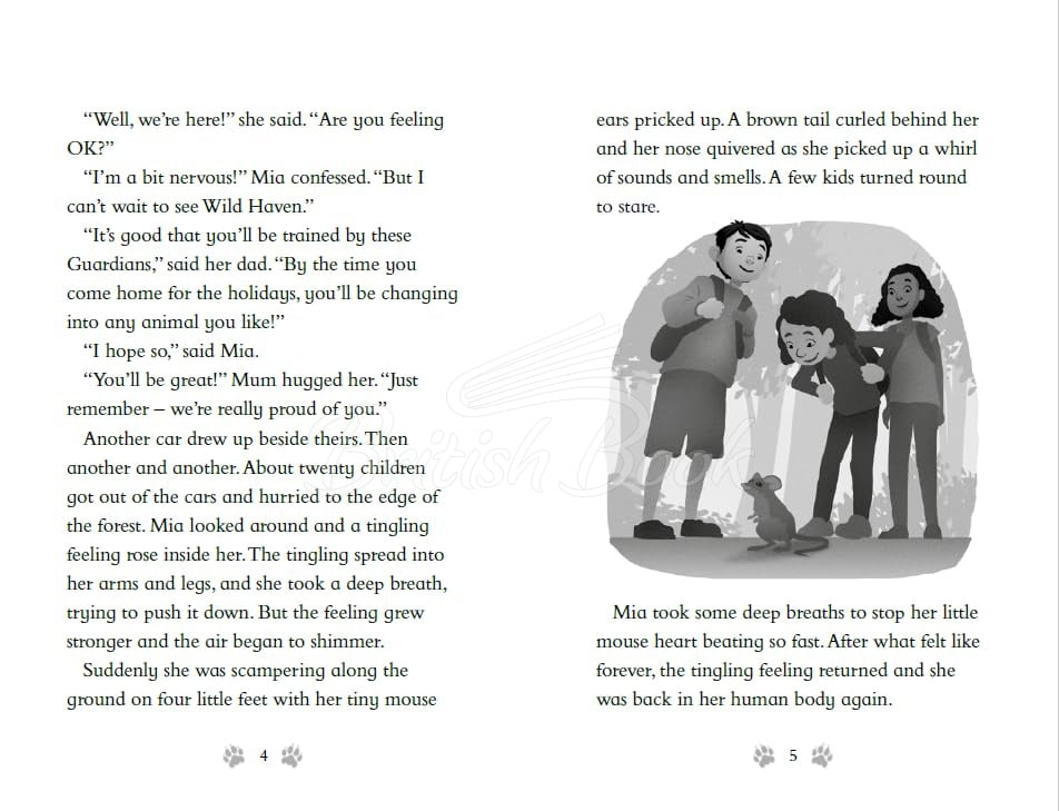 Книга Animagicals: Mia's Tiger изображение 4