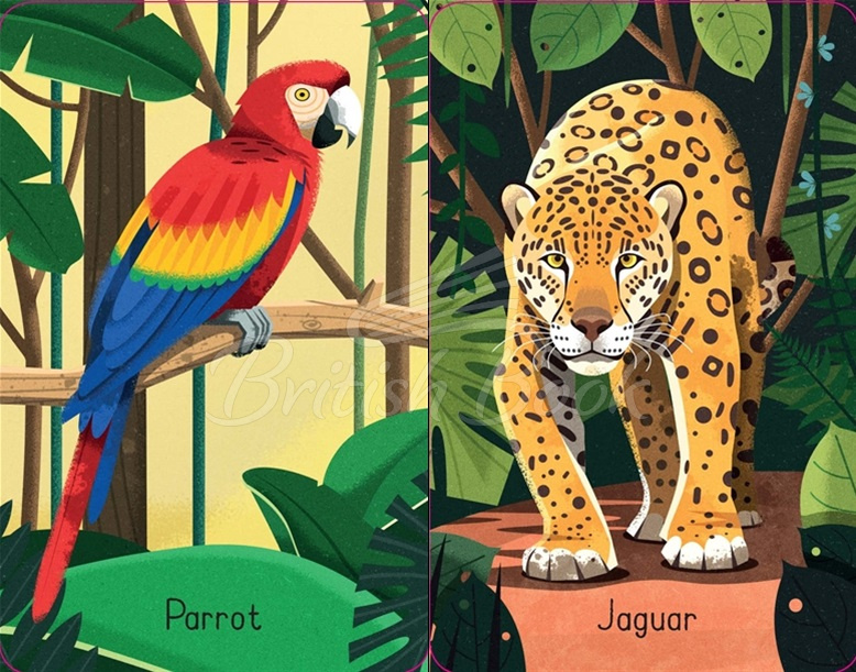 Карточная игра Jungle Snap изображение 1
