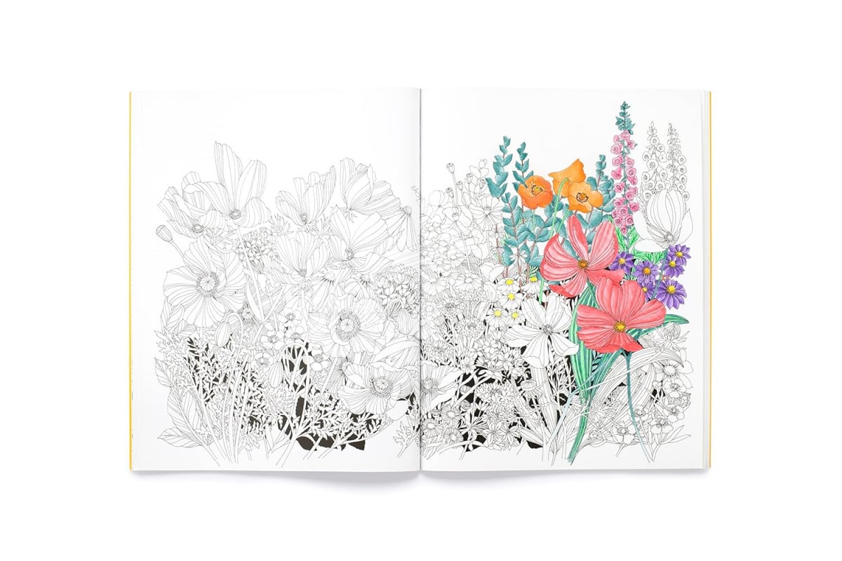 Книга An Intricate Colouring Book: Leila Duly's Beautiful Planet изображение 2