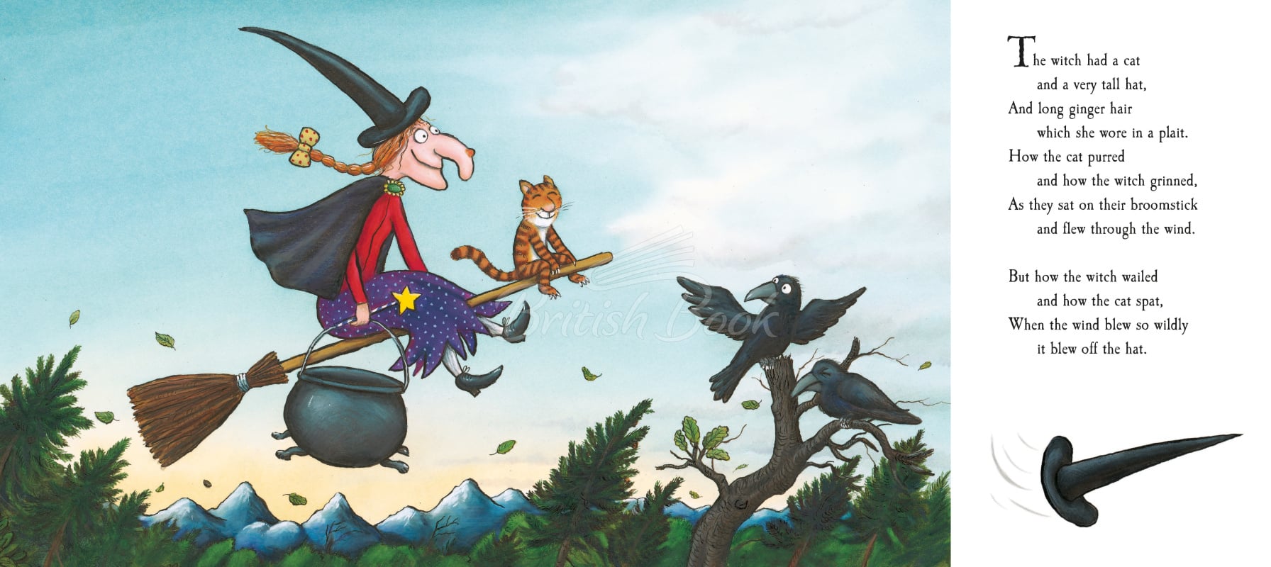 Книга Room on the Broom зображення 1