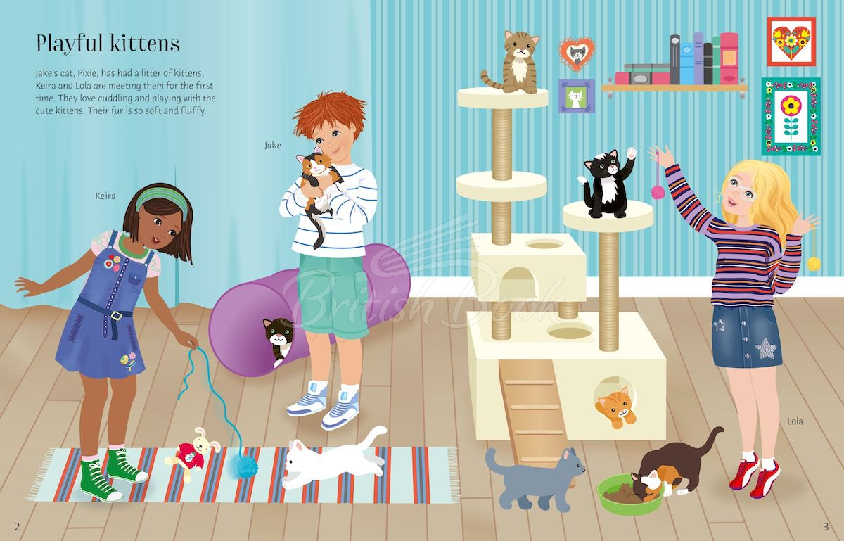 Книга Sticker Dolly Dressing: Pets зображення 3