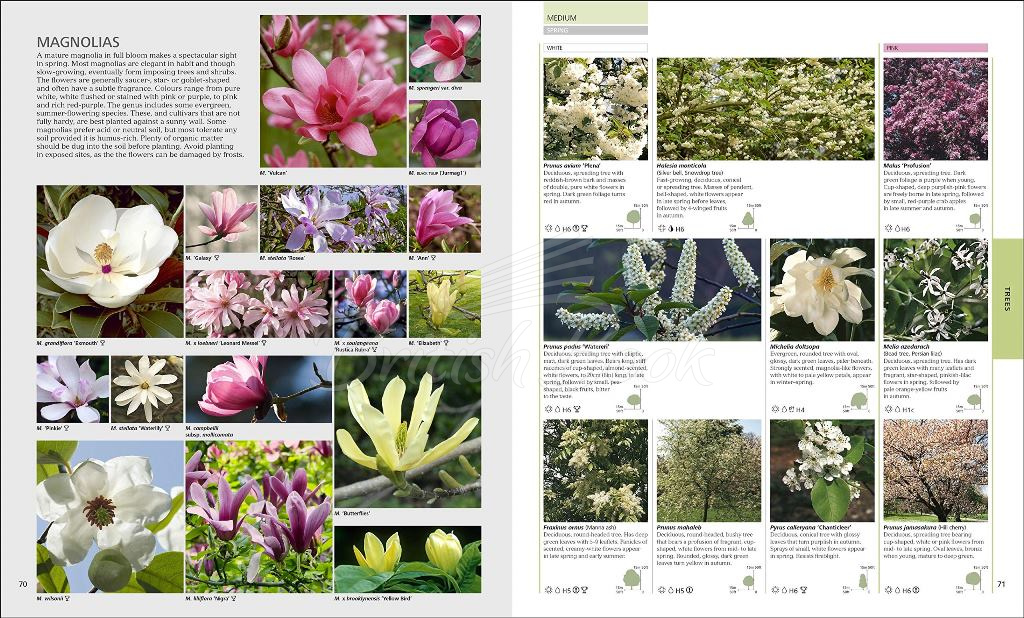 Книга RHS Encyclopedia of Plants & Flowers изображение 4