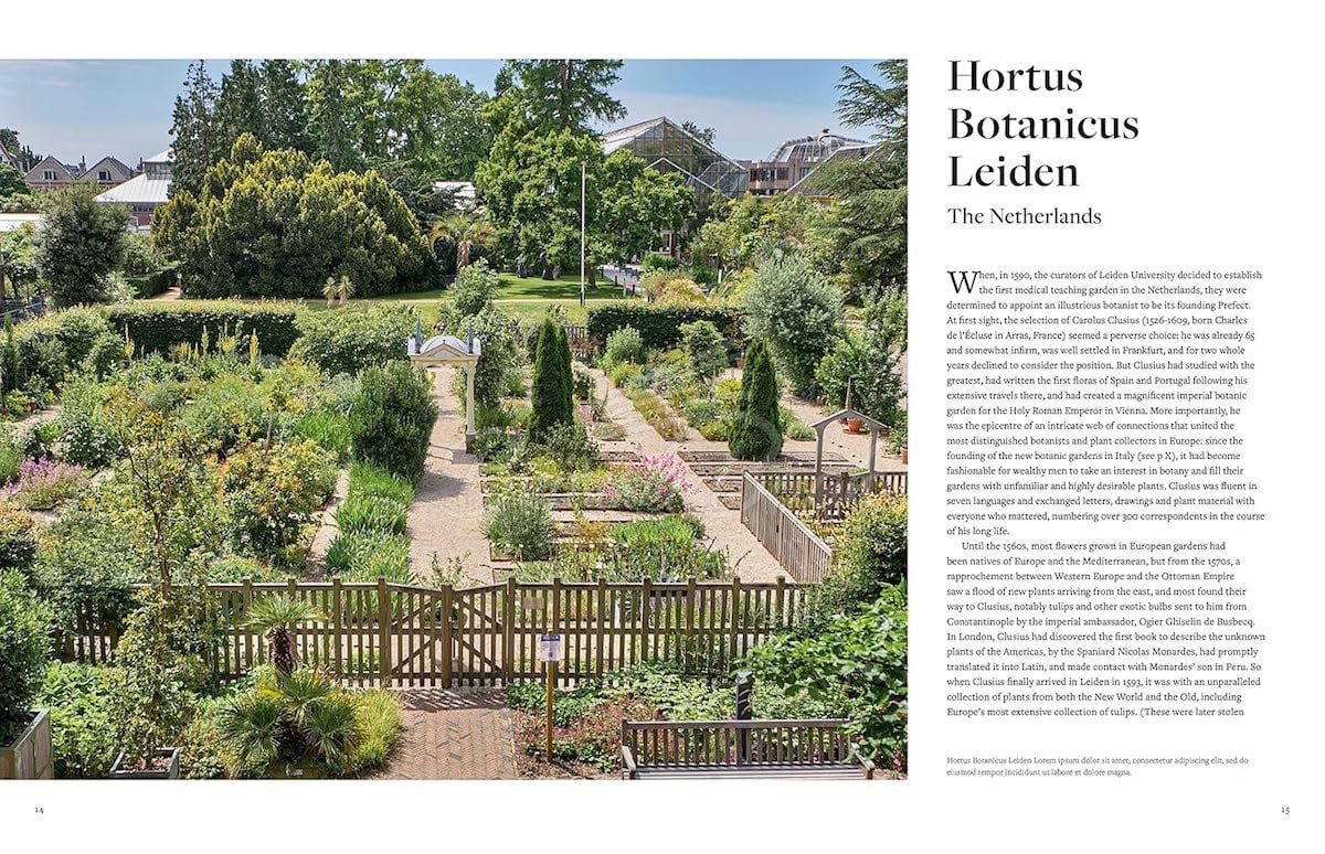 Книга The Botanic Garden изображение 1