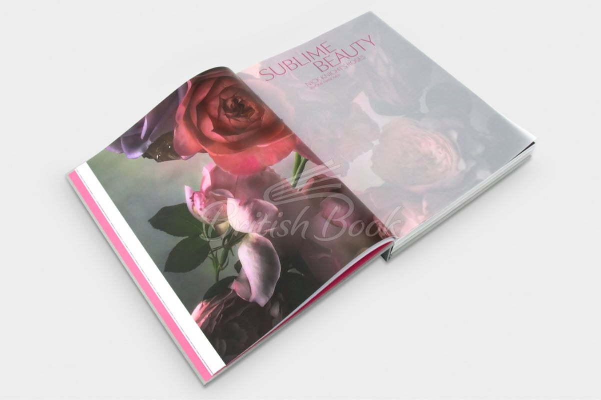 Книга Dior in Bloom зображення 3