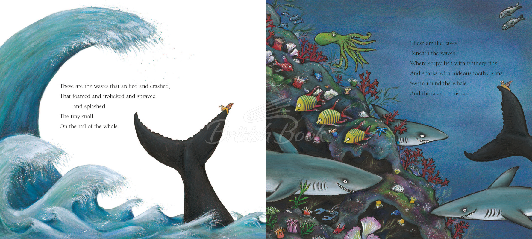 Книга The Snail and the Whale зображення 2