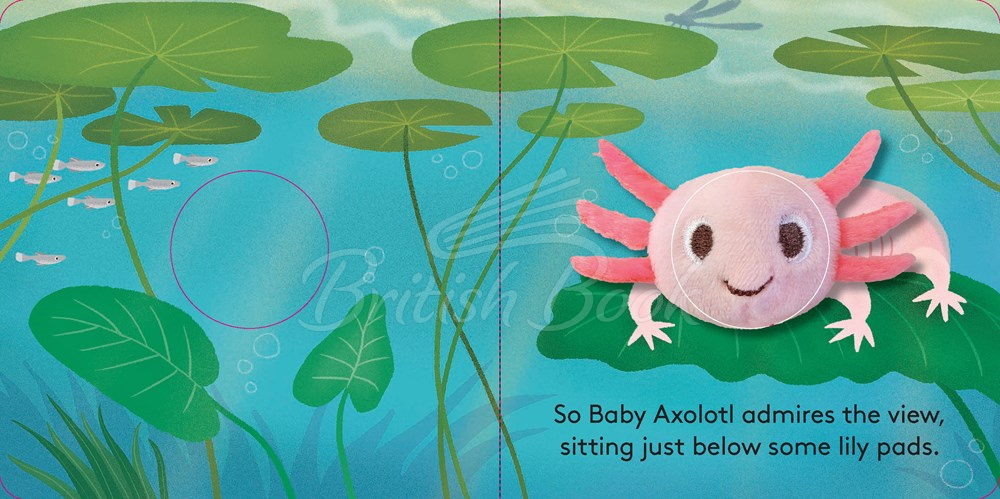 Книга Baby Axolotl Finger Puppet Book зображення 5