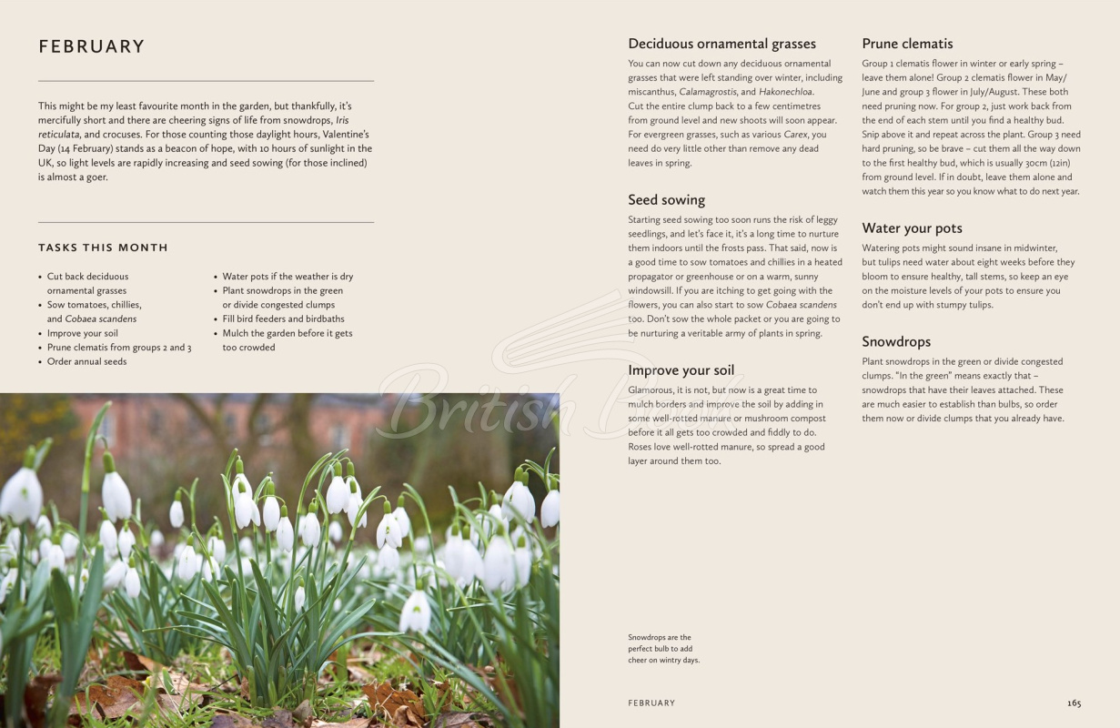 Книга How to Design a Garden:Create and Maintain Your Dream Garden зображення 6