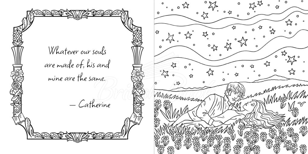 Книга Wuthering Heights Colouring Book изображение 3