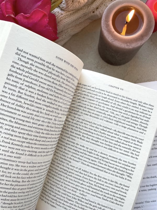 Книга Gone with the Wind изображение 2