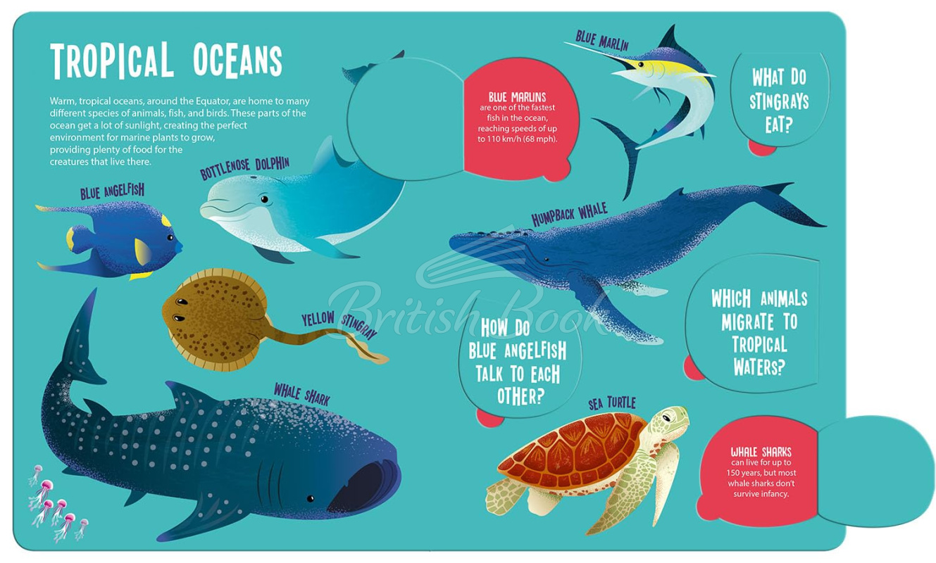 Книга Magic Searchlight: Ocean Animals изображение 4