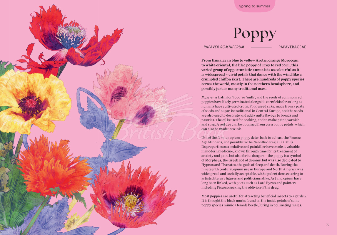 Книга Blossom: Practical and Creative Ways to Find Wonder in the Floral World зображення 8