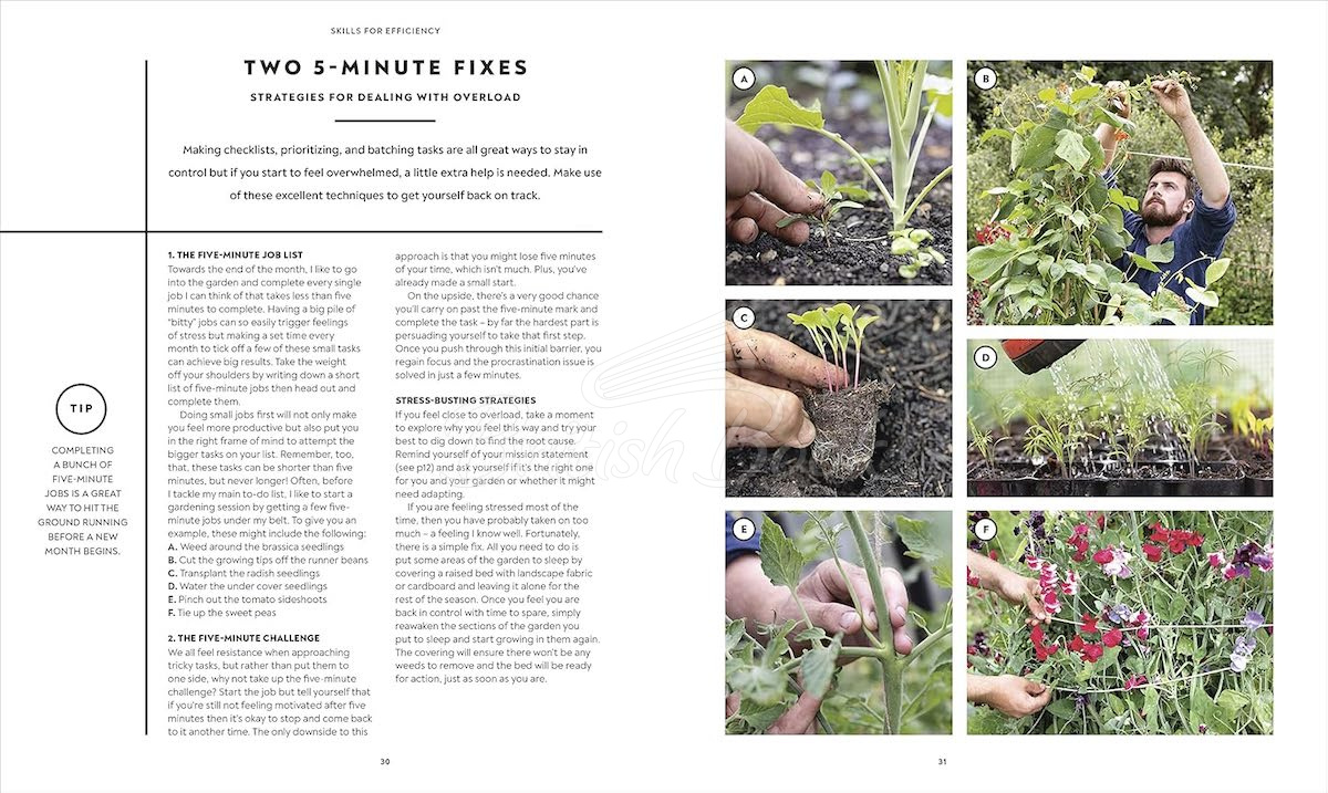 Книга The Vegetable Grower's Handbook зображення 2