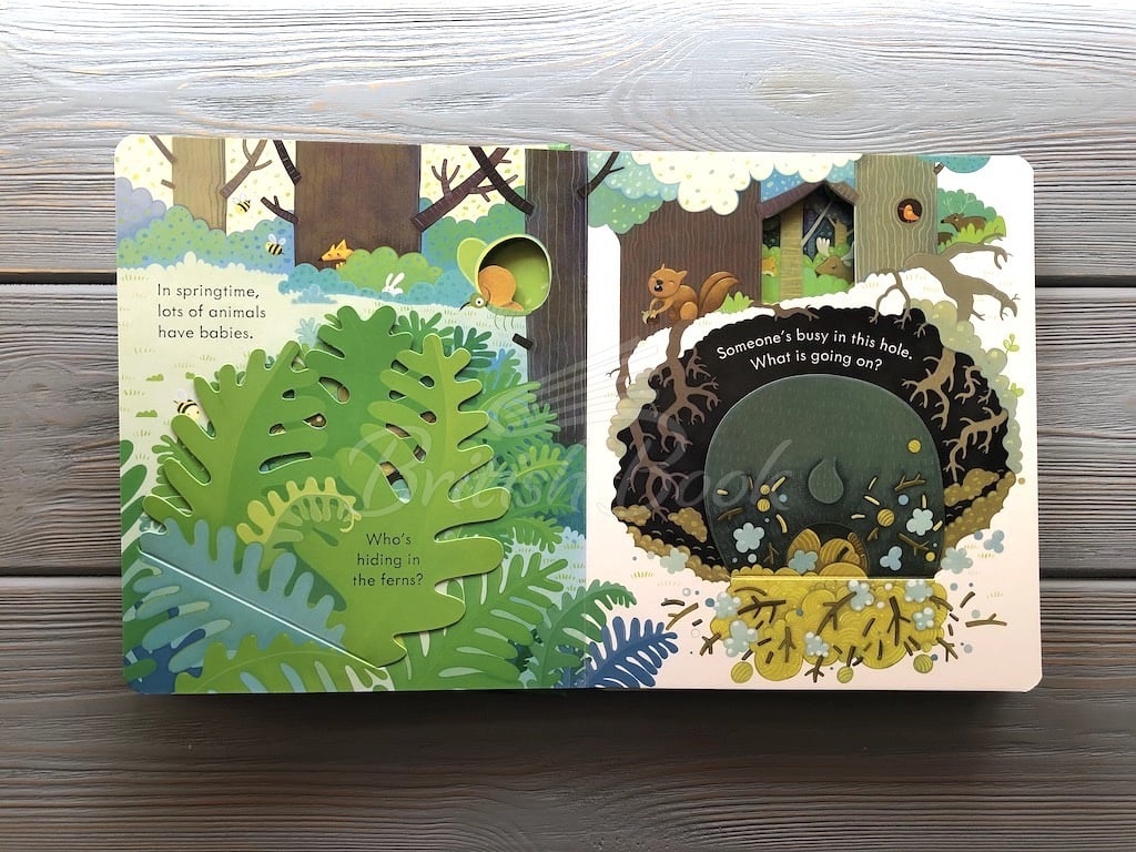 Книга Peep inside the Forest изображение 3
