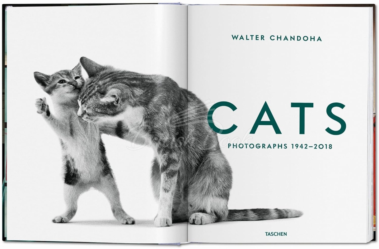 Книга Walter Chandoha. Cats. Photographs 1942–2018 зображення 1