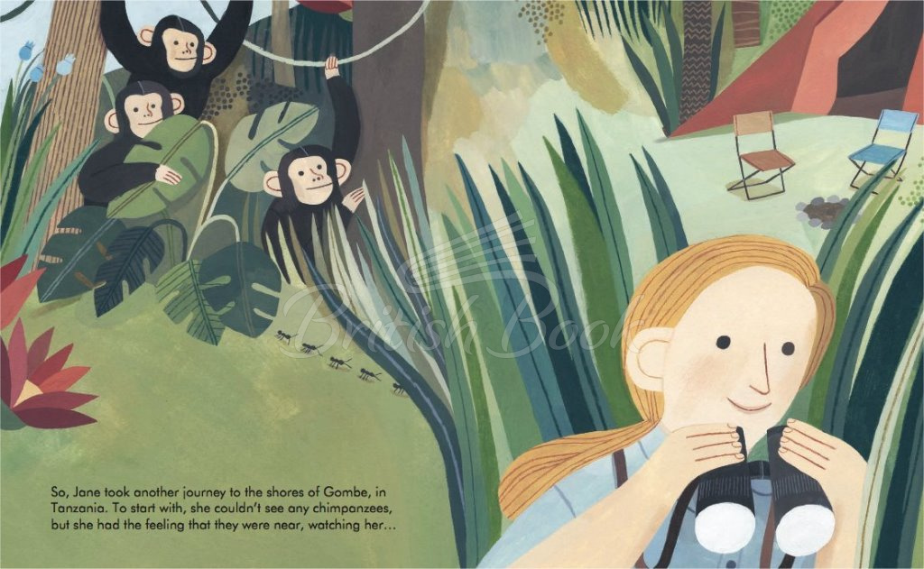 Книга Little People, Big Dreams: Jane Goodall изображение 6