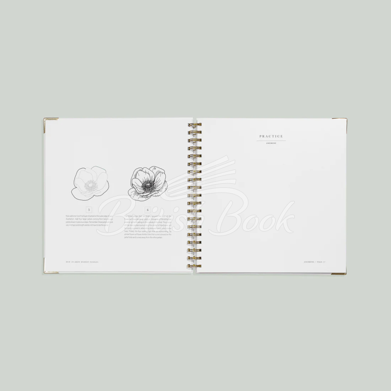 Книга How To Draw Modern Florals зображення 3