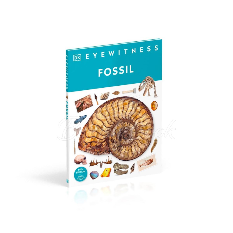 Книга Fossil изображение 1