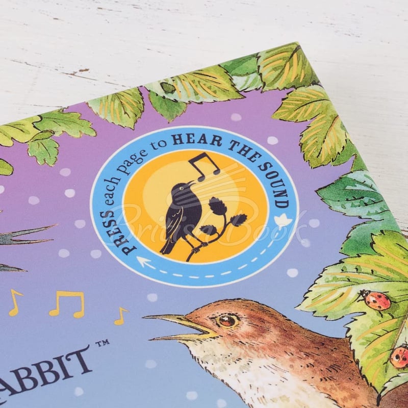 Книга Peter Rabbit: Peter's Nature Walk  изображение 2