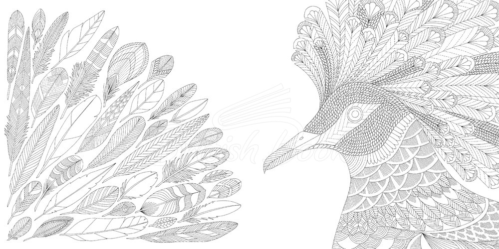 Книга Millie Marotta's Tropical Wonderland Pocket Colouring изображение 4