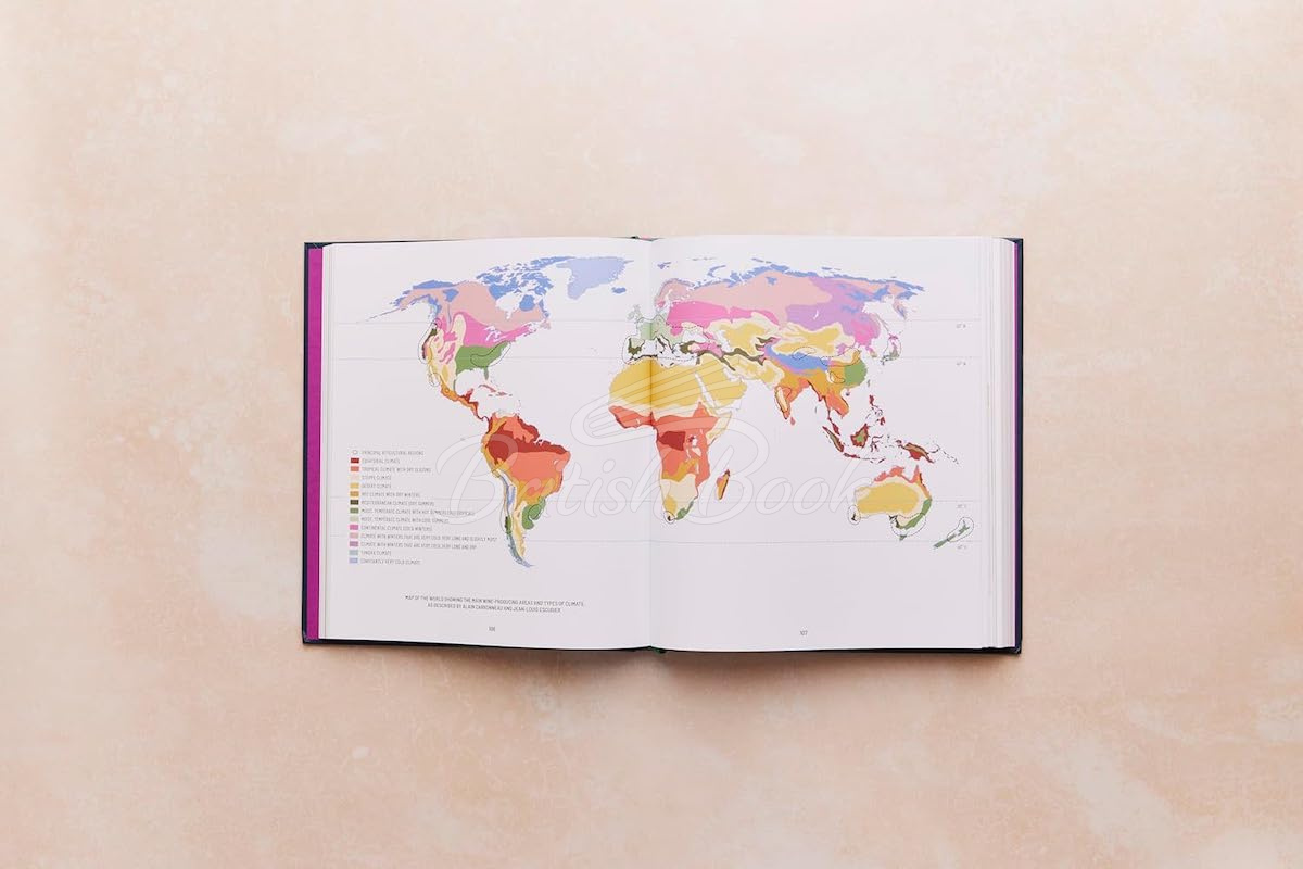 Книга One Thousand Vines: A New Way to Understand Wine изображение 8