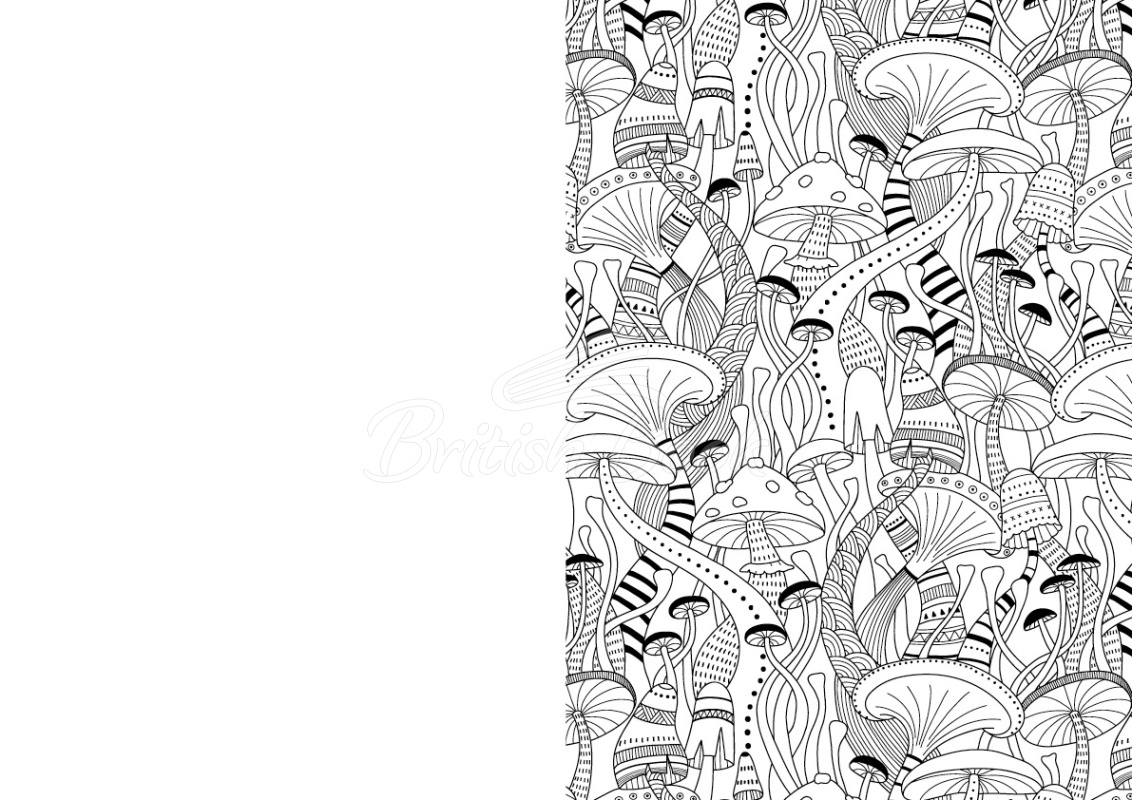 Журнал Zen Colouring Issue 73: The Seasonal Edition изображение 1