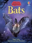 Usborne Beginners Bats