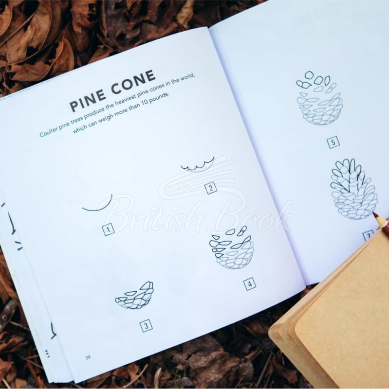 Книга How to Draw Fall Things for Kids with Pumpkins, Scarecrows, Turkeys and More зображення 2