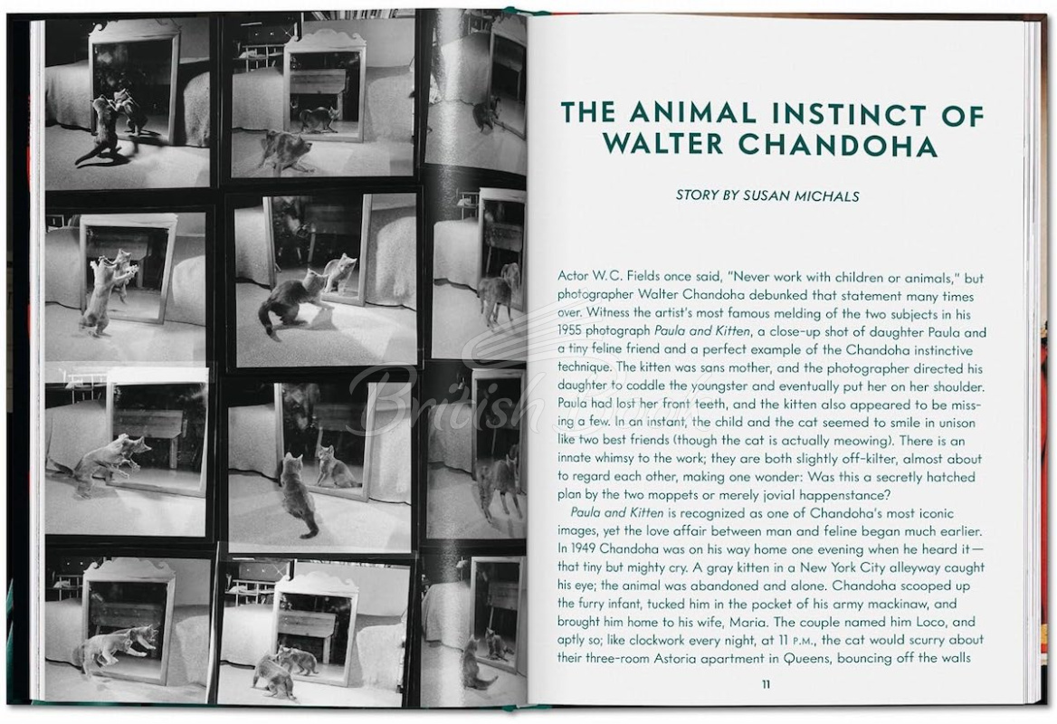 Книга Walter Chandoha. Cats. Photographs 1942–2018 изображение 1