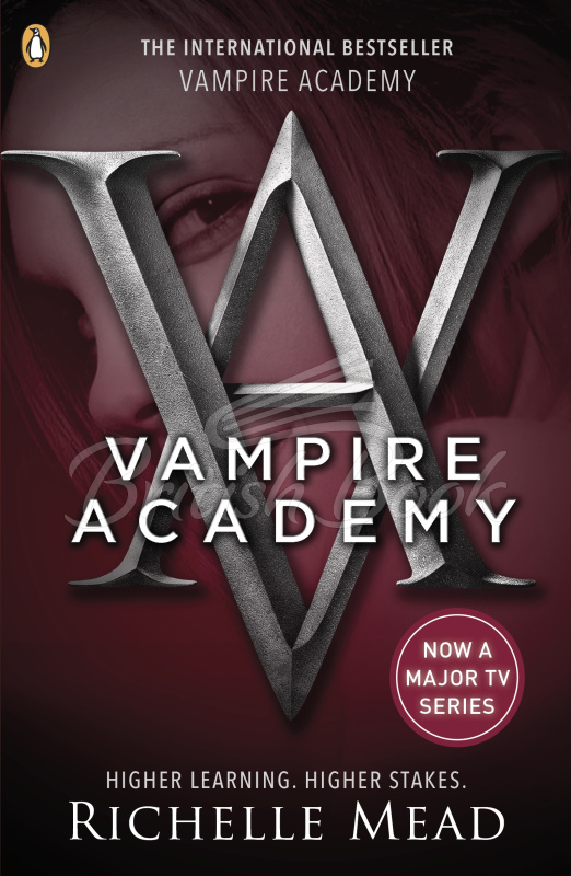 Книга Vampire Academy изображение