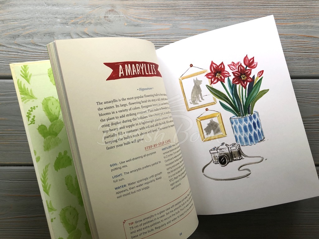 Книга Happy Houseplants изображение 7