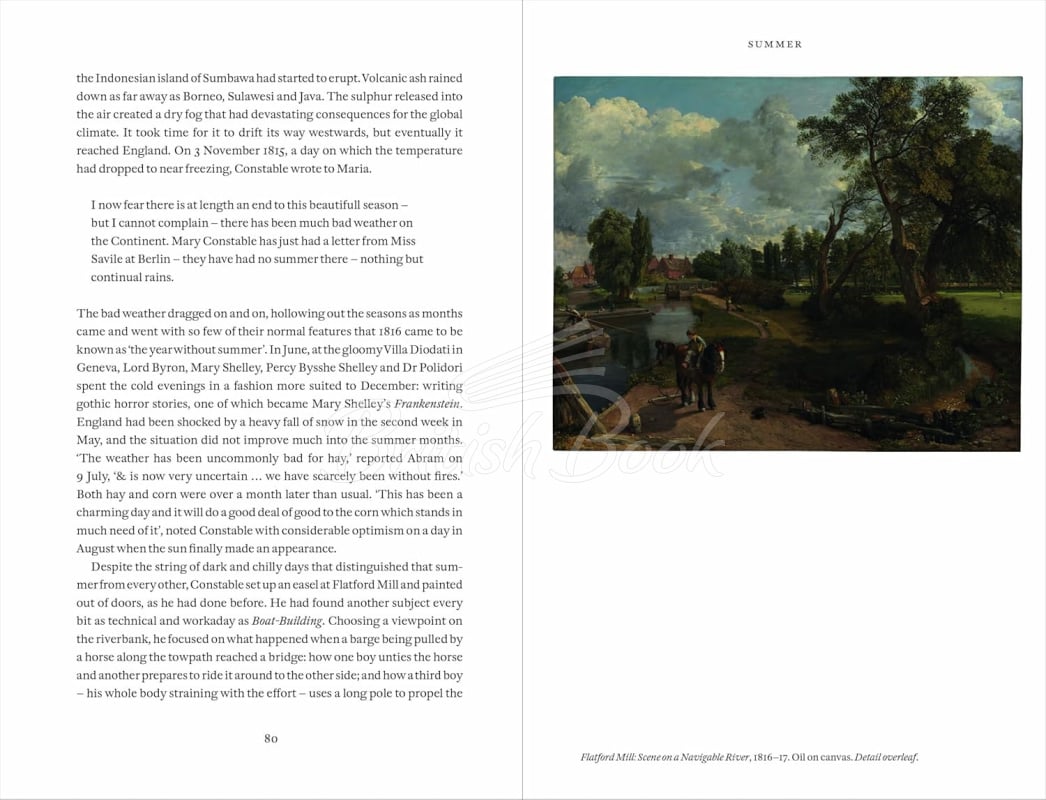 Книга Constable's Year: An Artist in Changing Seasons изображение 8