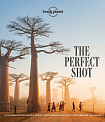 The Perfect Shot