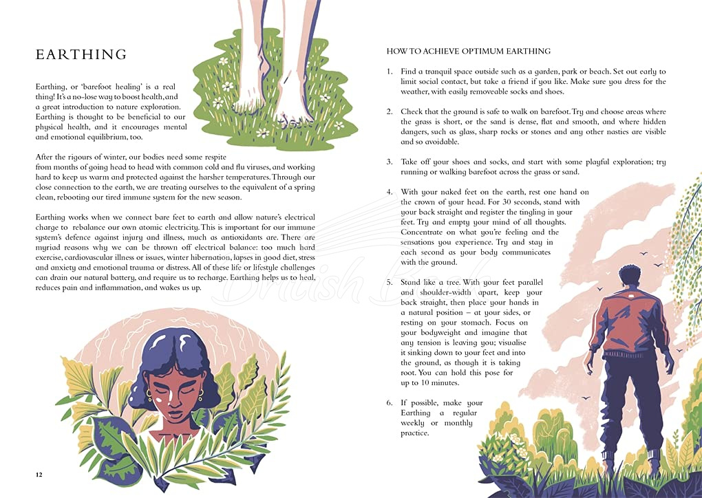 Книга The Wild Handbook: Seasonal Activities to Help You Reconnect with Nature зображення 1