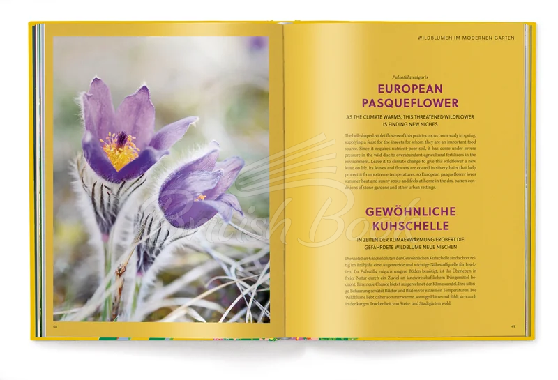 Книга Floramour: Wild Flowers изображение 7