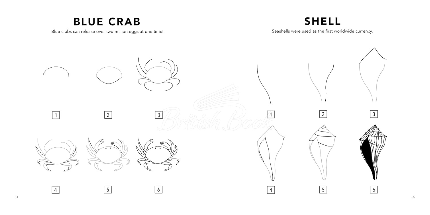 Книга How to Draw Under the Sea for Kids зображення 4