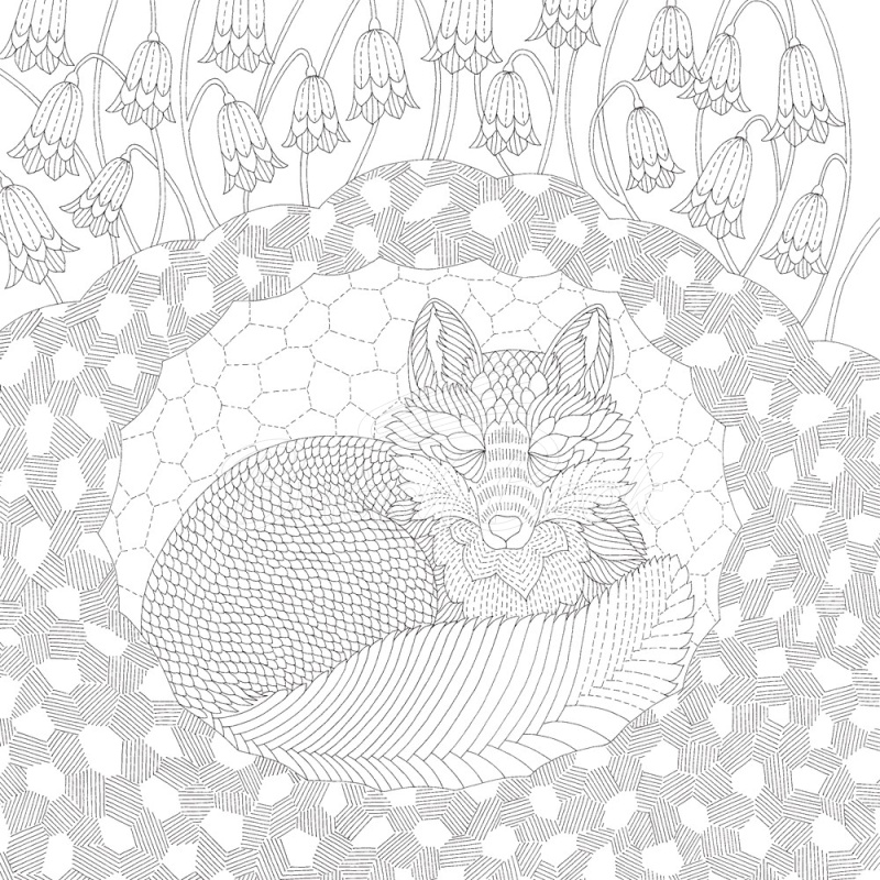 Книга Millie Marotta's Woodland Wild изображение 3