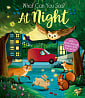 What Can You See? At Night