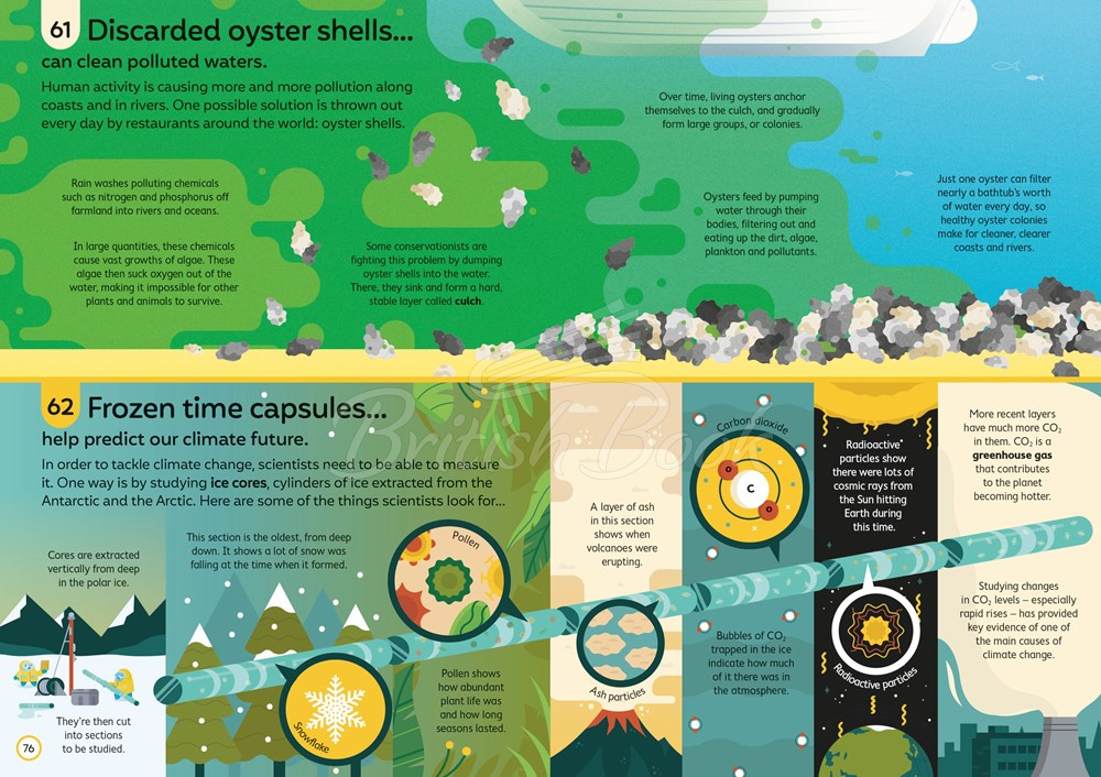 Книга 100 Things to Know About Saving the Planet зображення 2